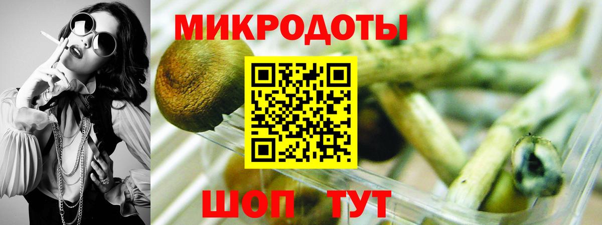 Псилоцибиновые грибы Psilocybine cubensis Муравленко